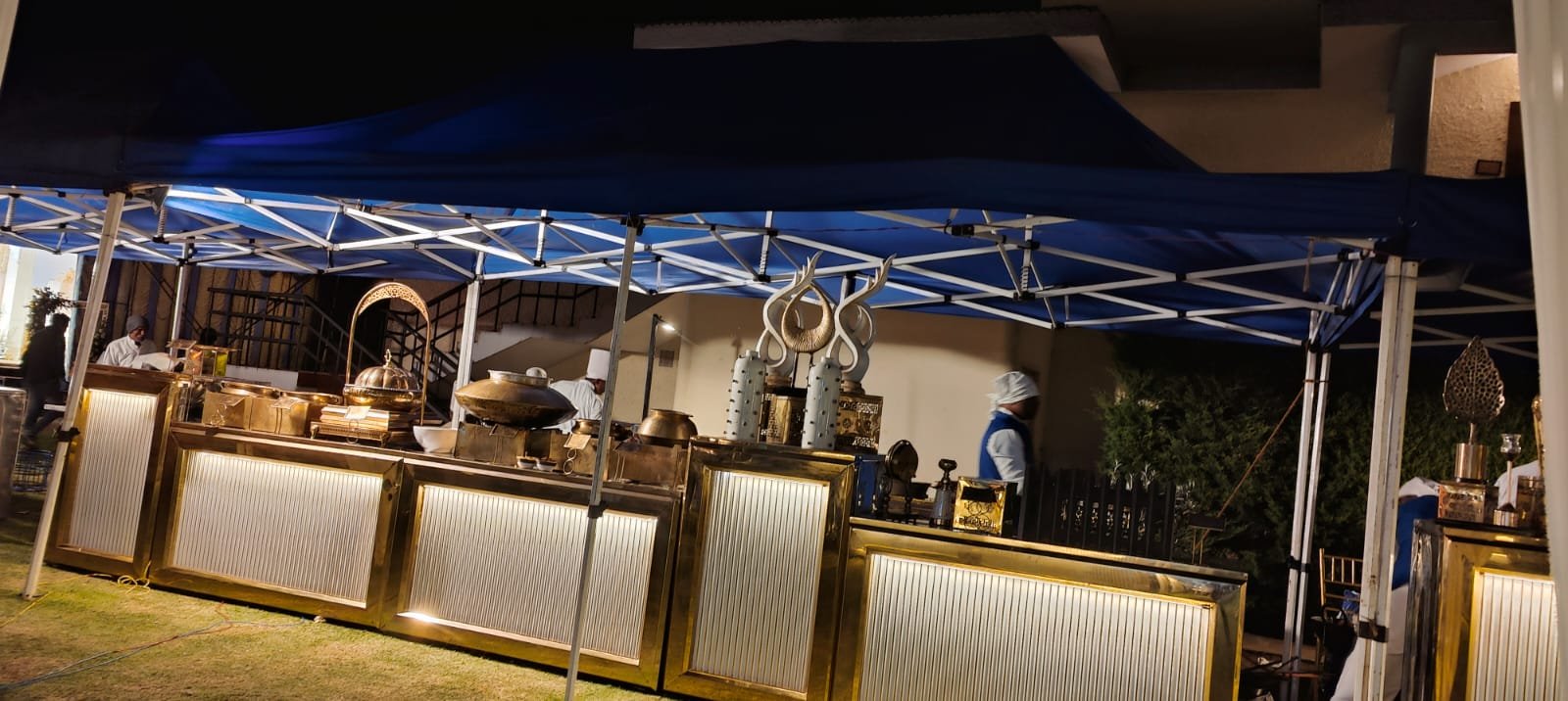 Elegant live food buffet counter